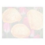Red Tulip seeds (Tulipa gesneriana) flowers Customized Letterhead