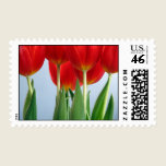 Red Tulip Stamp
