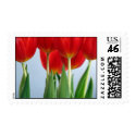 Red Tulip Stamp stamp
