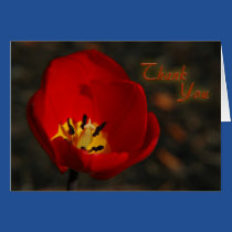 Red Tulip Thank You cards