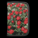 Red Tulips and White Primroses planners