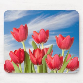Red Tulips and Wispy Clouds mousepad