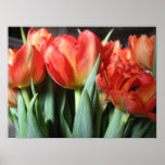 Red Tulips Bouquet Photo Poster Art