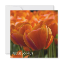 Red Tulips DSC0794 invitations
