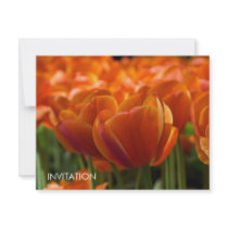 Red Tulips DSC0794 invitations