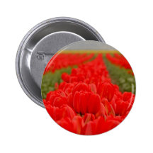 Red Tulips Field Photo Pinback Button