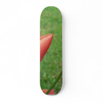 Red Tulips Flower Skate Board Decks