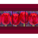 Red Tulips Flowers Painting - Multi print