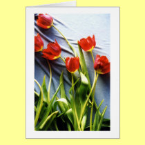 Red Tulips for Kerstin Card