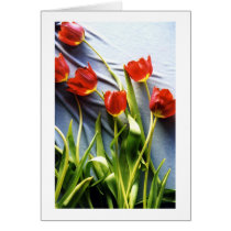Red Tulips for Kerstin Card