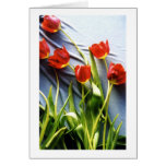 greeting cards, flower greeting cards, note cards,