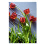 Red Tulips for Kerstin Poster Print
