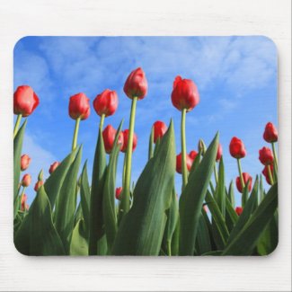 Red Tulips In The Sky Mouse Pad