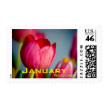 Red Tulips • January Wedding Stamp