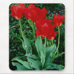 Red Tulips Mouse Pad