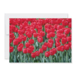 Red tulips, Ottawa flowers Custom Invite