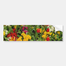 Red Tulips, pansies, daisies and primulas flowers Bumper Stickers