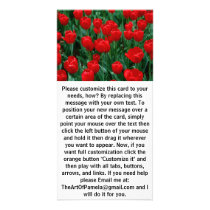 Red Tulips Personalized Photo Card