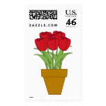 tulips, red tulips, flowers, floral, garden,