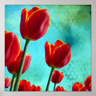 Red Tulips print