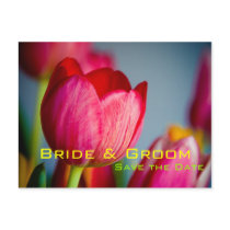 Red Tulips • Save the Date Postcard by SabineStGreetings Red Tulips • Save the Date Postcard
