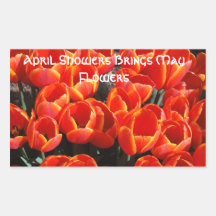 Red Tulips Sticker