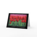 Red Tulips with Quote from Gerard DeNerval cards