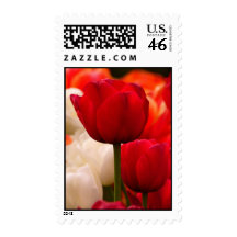 Red Tullip Stamps