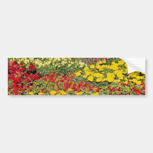 Red Valley Garden flowers flowers Bumper Stickers