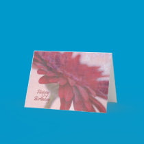 Red Velvet Birthday cards
