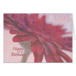Red Velvet Birthday Cards