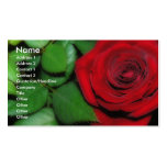 Red Velvet Business Card
