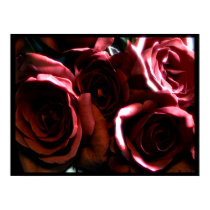 Red velvet posters by photomorgana Red velvet posters