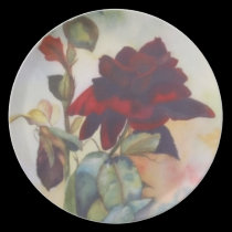 Red Velvet Rose plates
