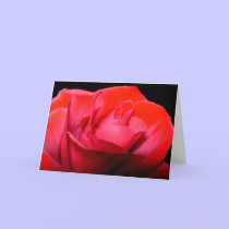 Red Velvet, S Cyr cards