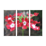 Red Verbena Canvas Stretched Canvas Prints