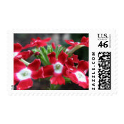 Red Verbena stamp