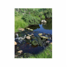 Red Water In A Stream Near Malin More Cut Out
