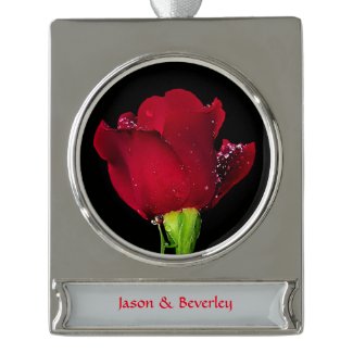 Red Wedding Rose