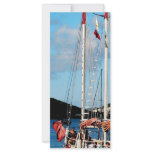 Red, White and Blue Boat at St. Thomas rack cards
