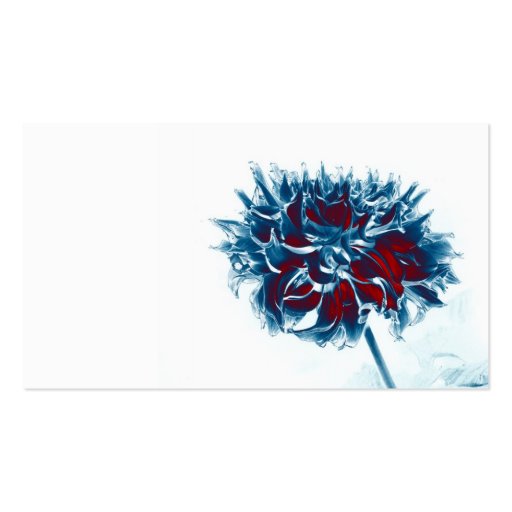 red white and blue chrysanthemum business cards