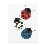 Red White and Blue Ladybugs Post Cards