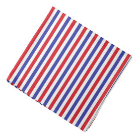 Red, White and Blue Stripes Bandana