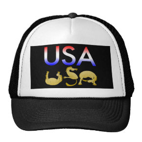 Red, white and blue USA pony Hats