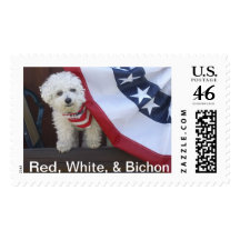 Red, White, & Bichon :  Patriotic PAWS Stamp