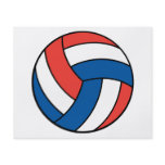 red white blue volleyball full color flyer