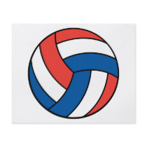red white blue volleyball full color flyer