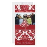 Red & White Damask Pine Holiday Family Pictures