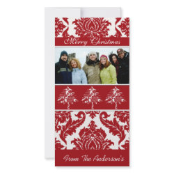 Red & White Damask Pine Holiday Family Pictures photocard
