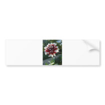 Red&White flower bumper stickers